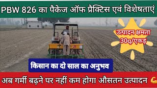 गेहूं PBW 826 गर्मी सहन करने वाली किस्म, रिपोर्ट कार्ड,बीज उत्पादन  #farming #wheat #wheatseed