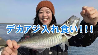 GO!GO!九ちゃんフィッシング #576　「堤防L.Tカゴ釣りで特大アジ！ 直江津港第3東防波堤」　Episode final　アジのカゴ釣り テクニカル篇