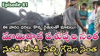 మామిడాడ పశువుల సంత | Mamidada Buffalo Market | Mamidada Buffaloes Info #buffalo #info @jainkisan