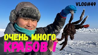 КРАБОВОЕ НАШЕСТВИЕ | Подводные съемки !