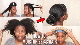 HOW TO MOISTURIZE DRY 4C NATURAL HAIR IN 3 EASY STEPS | MIDWEEK ROUTINE