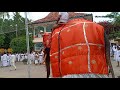 miyan kumar මියන් කුමර් elephant in dewaduta perahera 2019 in bellanwila rajamaha viharaya