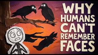 Your Brain Forget Faces… But Crows Don’t. Here’s Why.