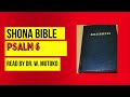 SHONA BIBLE PSALM 6 | DR. WILBERT MUTOKO