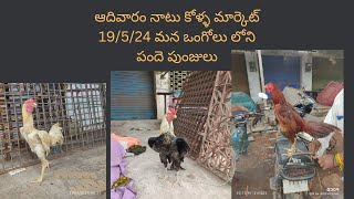 ongole sunday nattu kolla market🐓🐓🐓 19/5/24