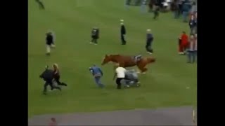 Horse Tramples Over Baby Carriage
