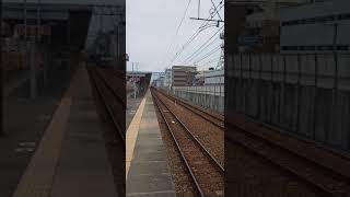 【EF210桃太郎🍑】JR西日本 東海道本線 さくら夙川駅を通過する貨物列車🎵③