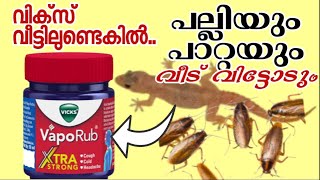 Effective solution to avoid cockroaches |പല്ലിയും പാറ്റയും വീട്ടിൽ നിന്നോടാൻ വിക്സ് കൊണ്ടൊരു  മാജിക്