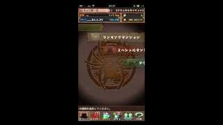 パズドラ　ランク５４８のボックス紹介！！！！