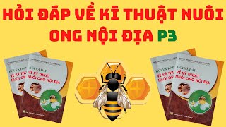 HỎI ĐÁP VỀ KĨ THUẬT NUÔI ONG P3-kĩ sư Ngô Đắc Thắng.