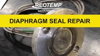 REOTEMP Diaphragm Seal Repair