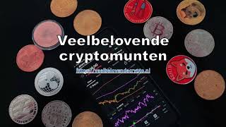 Veelbelovende crypto kopen