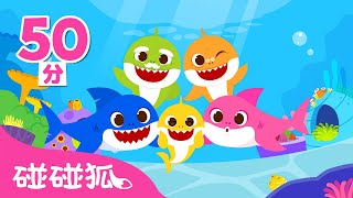 👋 拜拜2024 🦈 鲨鱼一家特辑｜儿歌大全｜鲨鱼宝宝中文｜人气儿歌｜精选儿歌｜中文儿歌｜碰碰狐儿歌｜碰碰狐Pinkfong