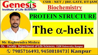 Protein Structure |The  Alpha-helix | New online 