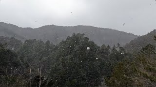 [DAY36]熊野那智大社-請川 雪舞う大雲取越と小雲取越を一日で走る[RUN TO SHIKOKU]