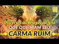 Os versos da Bhagavad-gita que queimam seu carma ruim