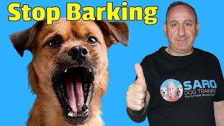 How to stop my dog from barking at other dogs and people