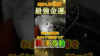 ⚠️【大金引寄せ】福猫様のご祈祷⛩️15秒見るだけで金運成就！✨莫大な富と幸運があなたの人生に訪れる🍀#金運上昇 #金運 #お金 #開運 #運気アップ #shorts  #引寄せ #幸運の前兆