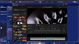 Kontakt 8 - Novità -  Leap - Pagina Play