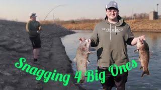 Snagging Giant Asian Carp {catfish bait}