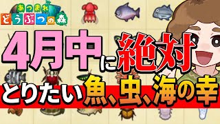 【あつ森】4月の魚、虫、海の幸まとめ！北半球はタカアシガニがラストの月!!【あつまれ どうぶつの森】【ぽんすけ】