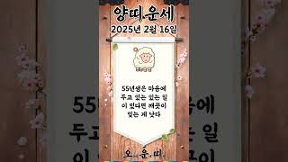 오늘의 양띠 운세 2025년 2월 16일 #양띠 #오늘의운세 #내일의운세 #운세 #운세쇼츠