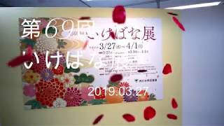 第69回 いけばな展　前期　西日本華道連盟　Ikebana　Exhibition