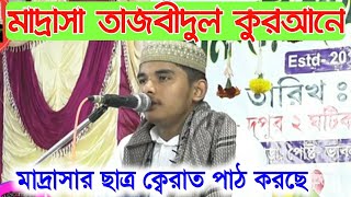 মাদ্রাসা তাজবীদুল কুরআন ট্যাটরা বসিরহাট।। মাও: শাহানুর আলম সাহেবের মাদ্রাসা।। এক ছাত্র ক্বেরাত পাঠ।