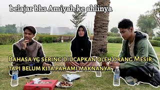 Part 8 - Belajar Bahasa Arab Amiyah Mesir