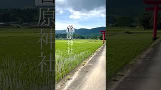 【宮崎県えびの市編】田んぼのなかにそびえたつ映えスポット⛩菅原神社