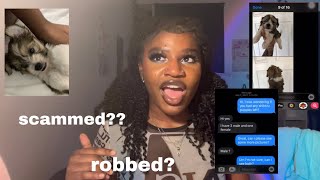 STORYTIME: I BOUGHT A PUPPY OFF OF CRAIGSLIST | + how to avoid getting scammed