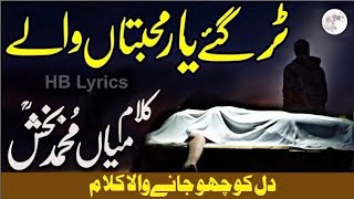 Tur Gaye Yaar Mohabbatan Wale | Kalam Mian Muhammad Bakhsh Punjabi Lyrics| Kalam Saif ul Malook |