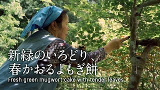 [May] The valley is enveloped in green / Yomogi Mochi, a sweet treat of the fresh green (4K UHD)