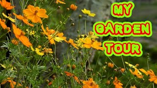 My Garden Tour | എൻറെ പൂന്തോട്ടത്തിലെ പൂക്കൾ | Deepa's Dream World