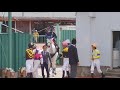 【パカパカ動画】【浦和競馬場】【horse footsteps】ほっこり足音をかなでるお馬さんたち