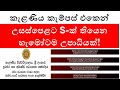 University of Kelaniya External Degree Programmes 2024: Comprehensive Guide