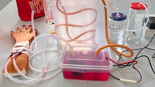 How to make Hemodialysis working model for science project grade 9/10 | biology