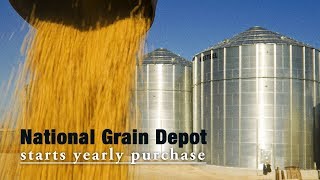 Live: National Grain Depot starts yearly purchase 国储粮库开库收粮 探秘我国最大单体粮库