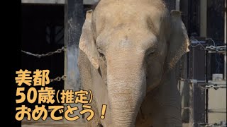 美都の日お祝い動画（推定50歳おめでとう！！）