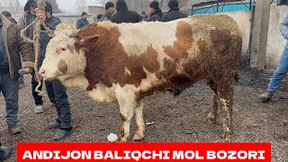 BALIQCHI MOL BOZORI