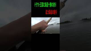 ★迫力満点★トラウト王国北海道十勝の釣り＃Shorts