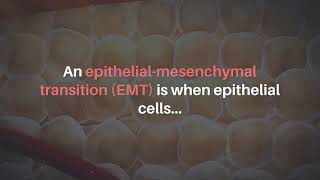 Oncotarget: EMTs Produce Endothelial Cells \u0026 Tumor Growth