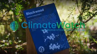 ClimateWatch: Earthwatch Programs