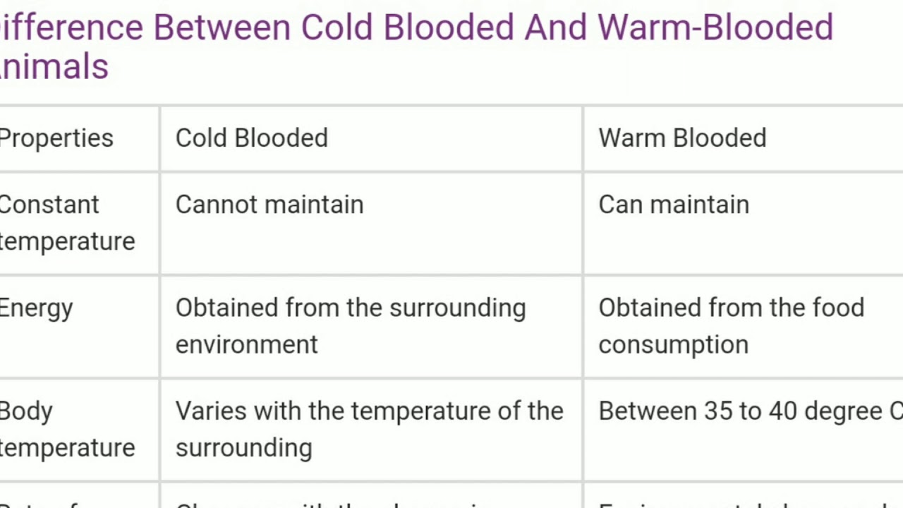 Difference Between Cold Blooded & Warm Blooded Animals |:- RU8013 - YouTube