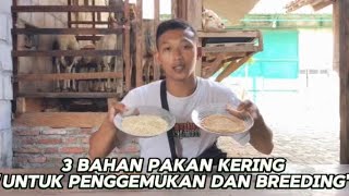 Pakan praktis dan hemat | cocok buat penggemukan domba|Pemula wajib tau