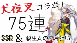 [陰陽師] ガチャ75連！殺生丸さん、75連で足りますよね…？