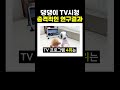 댕댕이의 tv시청 관련 충격적인 연구결과