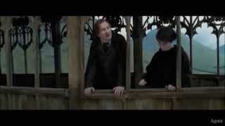 Harry Potter and the Prisoner of Azkaban - A Window to the Past