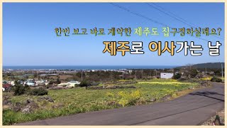 [제주살기 #1] 제주로이사하기 제주집소개 [제주살기브이로그] 드디어 입도했어요!