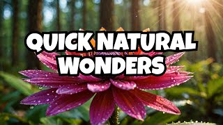 Discover Nature's Hidden Gems in 60 Seconds Shot On S21